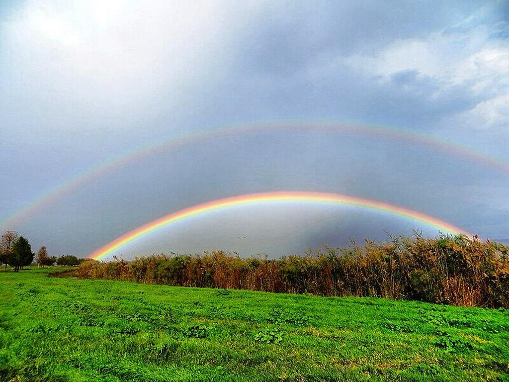 double rainbow