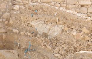 Archeological Discovery in Jerusalem