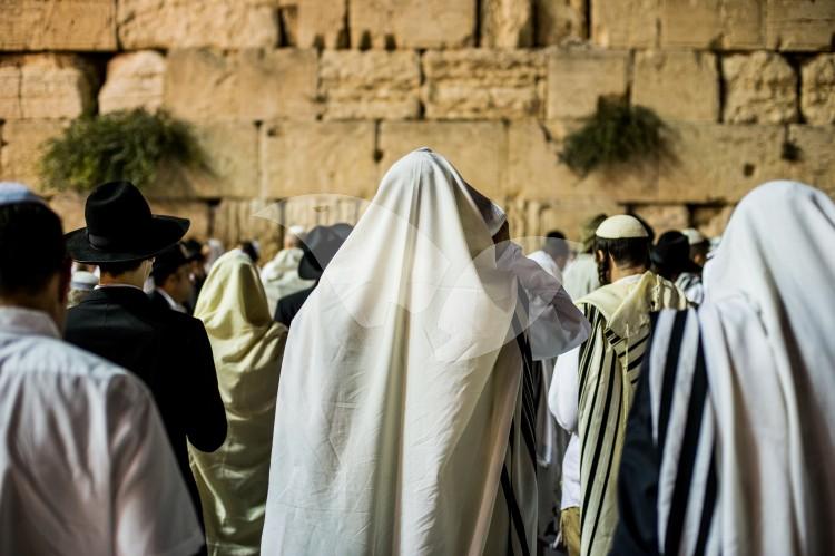 Jews Praying At The Western Wall