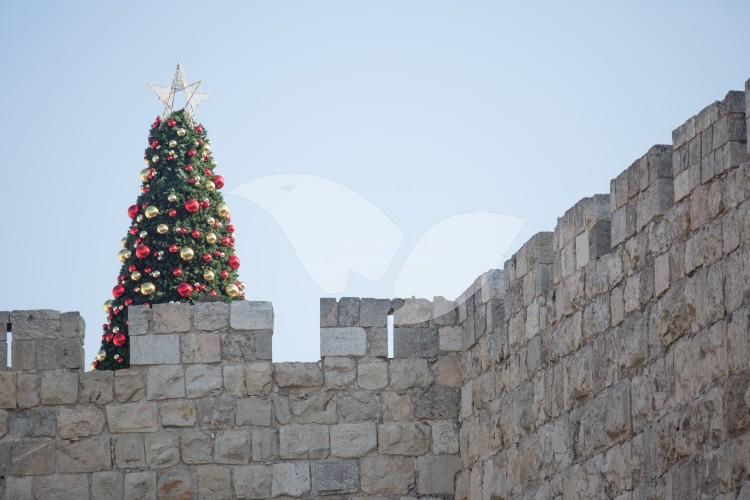 Christmas Tree on the Walls of Jerusalem