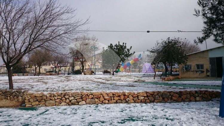 Snow in Neve Daniel in Gush Etzion January 2016