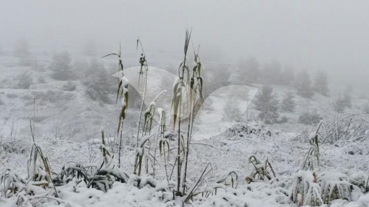 Snow Near Beit El in Binyamin January 2016