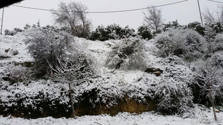 Snow Near Beit El in Binyamin January 2016