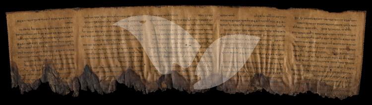 A Dead Sea Scroll containing Psalm 133 23.2.16