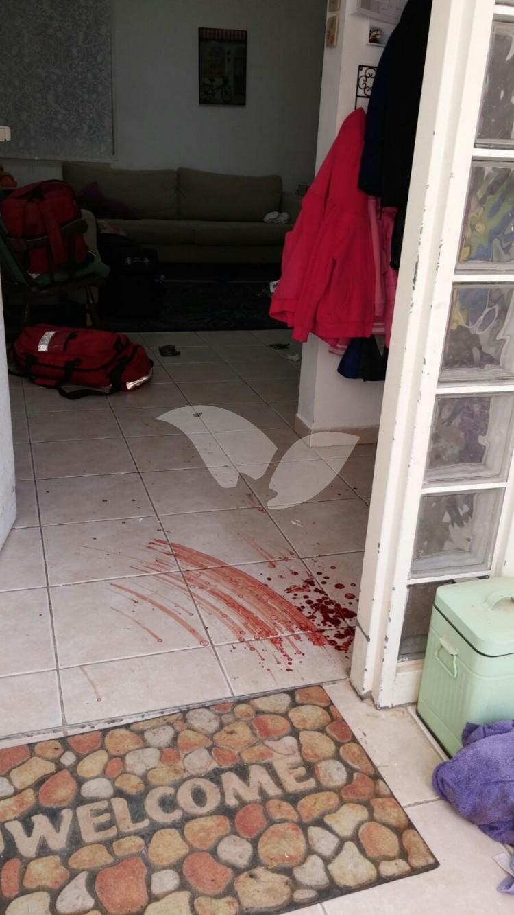 Terrorist Attack Inside Eli Home 2.3.16