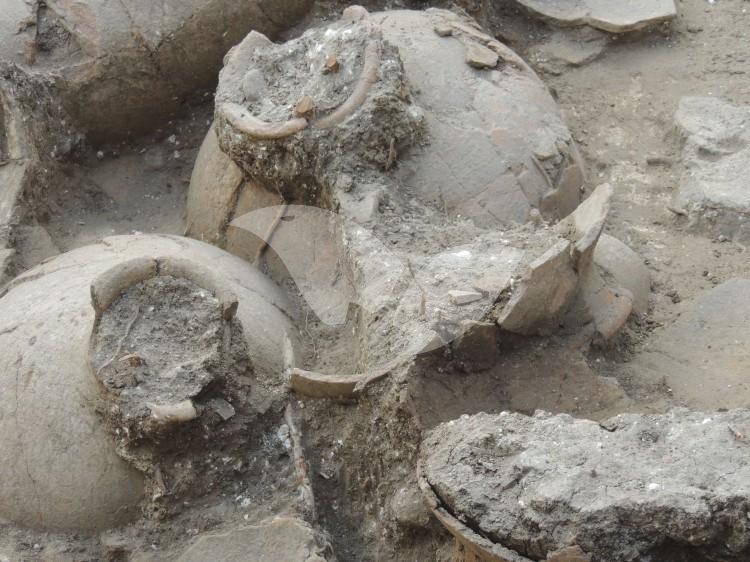 Winery Discovered at Canaanite Palace in Tel Kabri 3.3.16