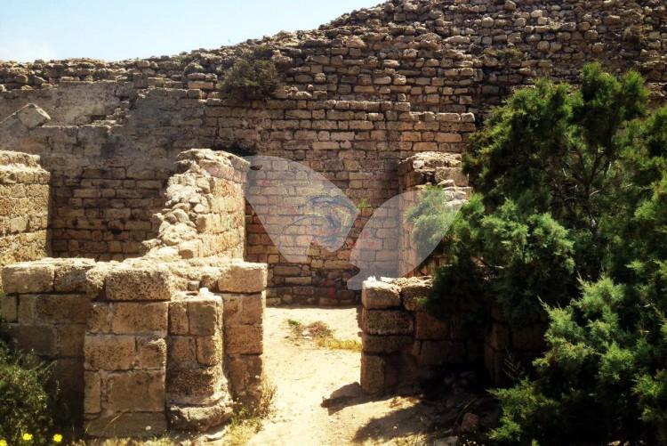 Archaeological Site Vandalized
