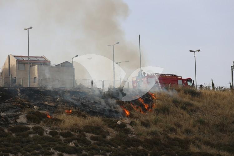 Arson Near Pisgat Ze’ev, Jerusalem