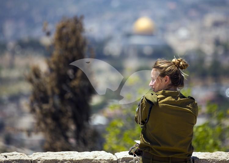 IDF Soldiers enjoy the Mount Scopus View