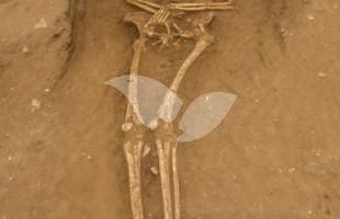 Discovery of the First Philistine Cemetery 10.7.2016