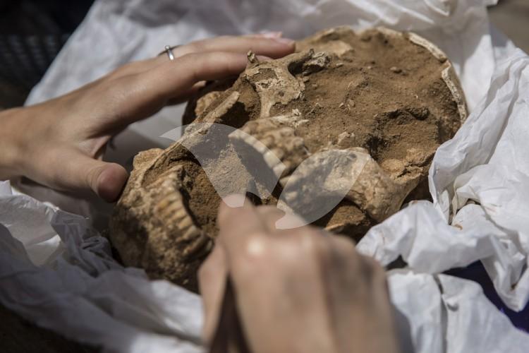 Discovery of the First Philistine Cemetery 10.7.2016