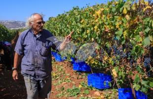 Shiloh vineyard owner Ira Rappaport
