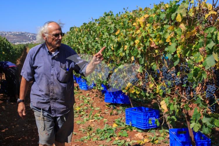 Shiloh vineyard owner Ira Rappaport