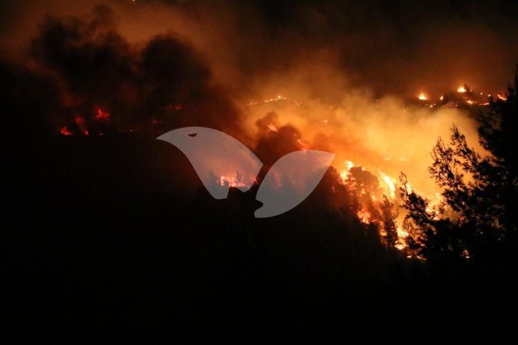 Wildfire near Talmon 23.11.16