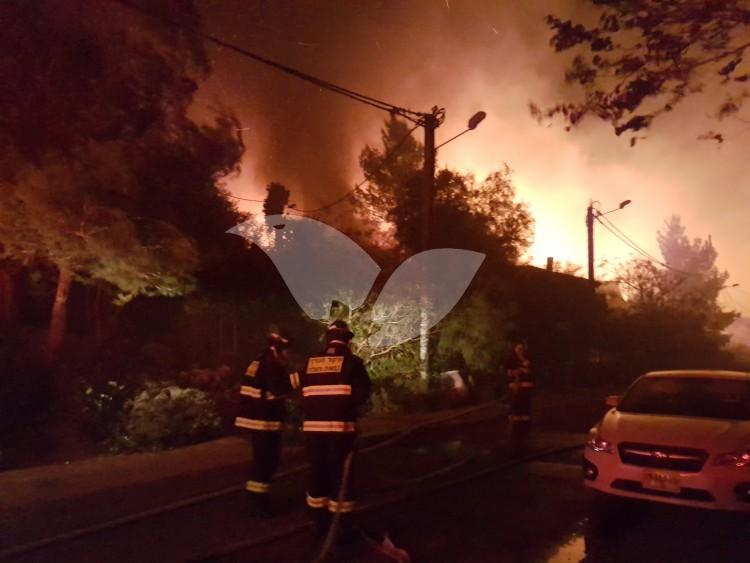 Wildfire in Neve Tzuf as a Result of Arson Terrorist Attack with Molotov Cocktails