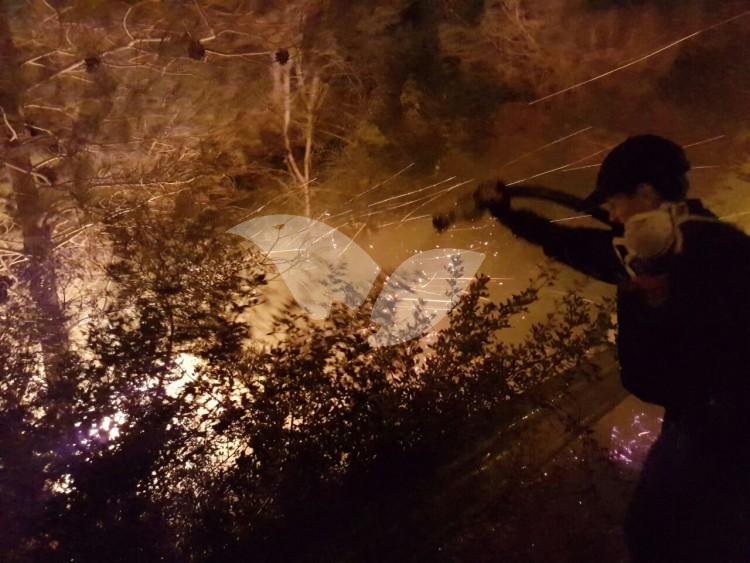 Dolev fire, 22.11.16