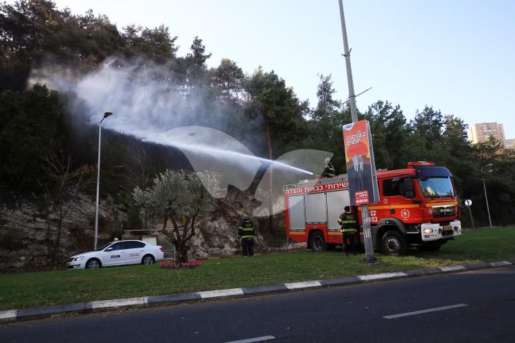 Palestinian firefighters assit in dousing Haifa fire
