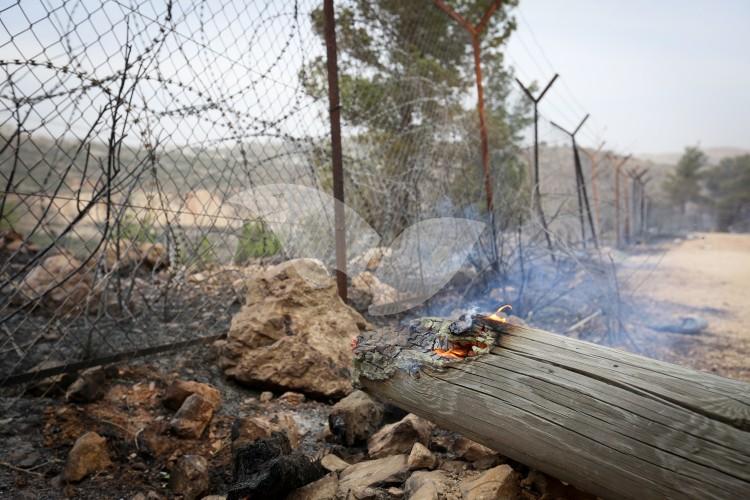Damages of the Fire in Dolev, Judea and Samaria