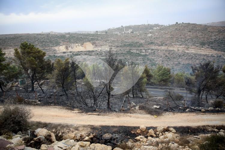 Damages from the Fire in Dolev