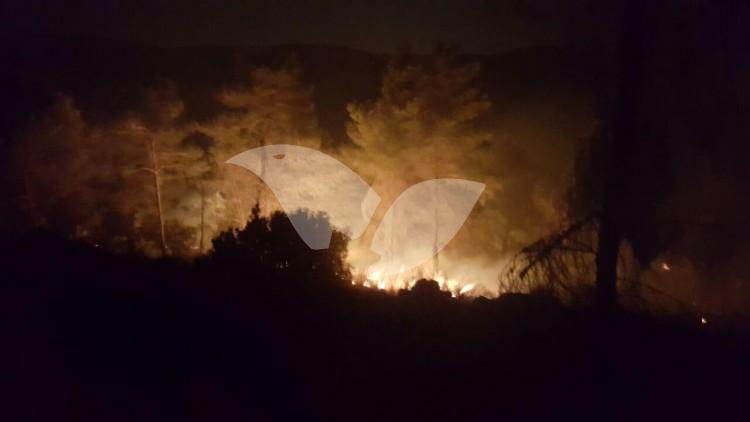 Fire in the community of Dolev in Judea and Samaria