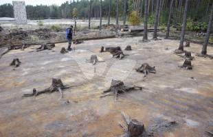 The excavations at Sobibór uncovered signs of mechanical equipment used by the Nazis to  dismantle the camp