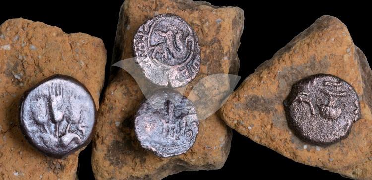 The ancient coins that were discovered in the excavation