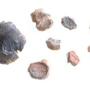 First Temple-era Seals Discovered in Jerusalem