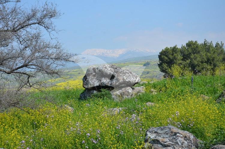 Ancient Dolmen Discovered in Upper Galilee