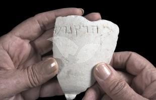 A fragment of the chalk bowl from the Hasmonean period, which is engraved with the name “Hyrcanus”.