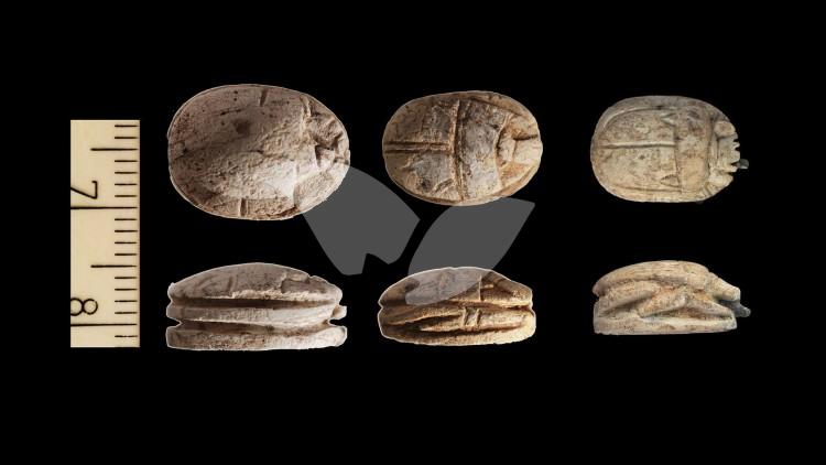 Scarabs from the Temple Mount