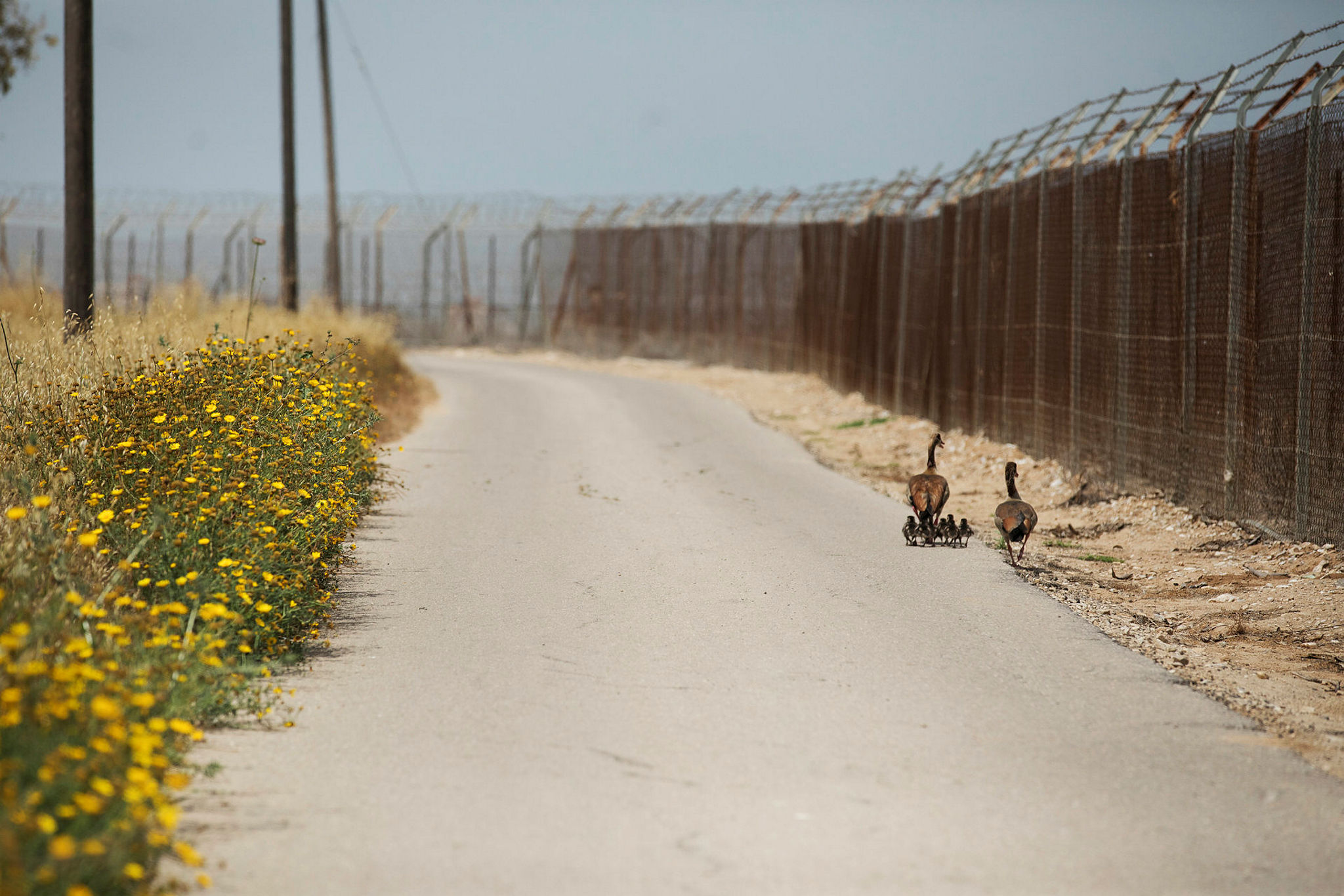 Alertness on the border of Gaza and Israel