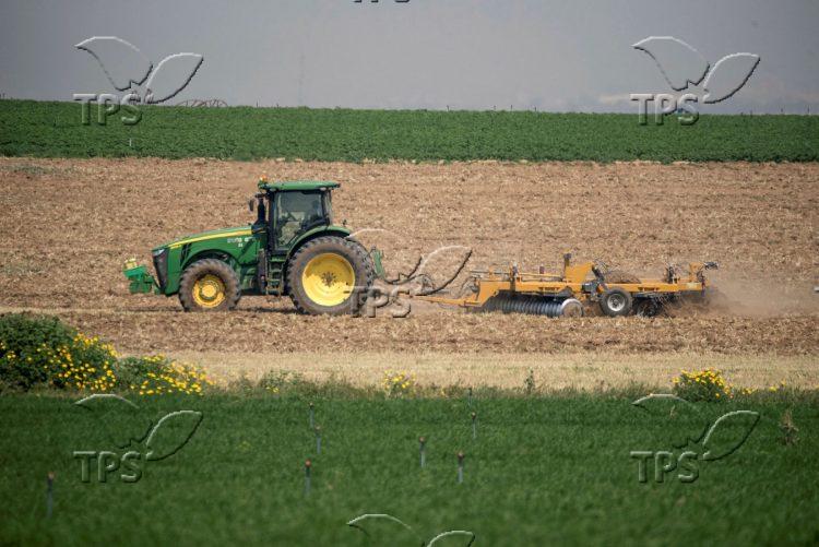 Tractor plows fields