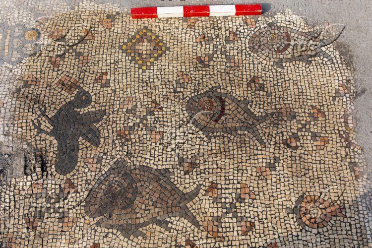 Three fish of different sizes from the decoration of the mosaic floor