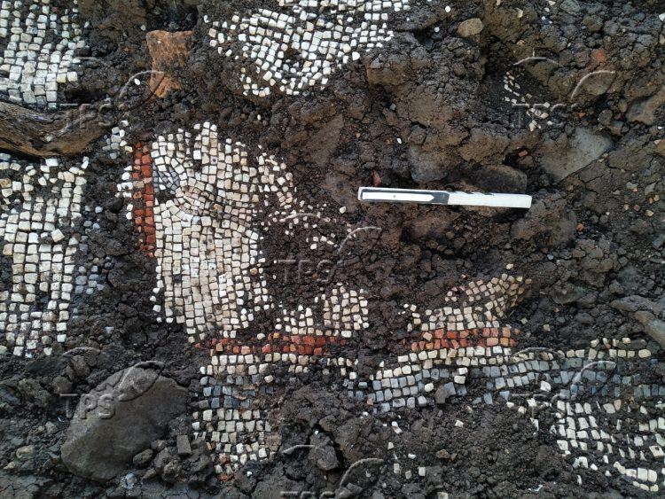 mosaic fragments, dating back to the third century CE, uncovered in a synagogue in the Golan Heights