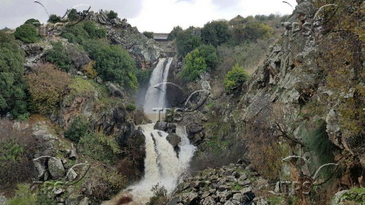 Saar Falls in the Golan Heights