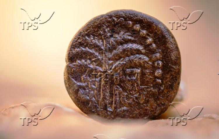 מטבע מרד בר כוכבא הנושא את הכיתוב ירושלים, ובמרכזו עץ תמר. צילום קובי הראתי, עיר דוד (5)