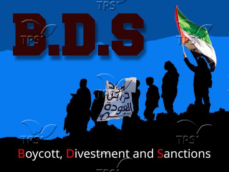 Infographic of the BDS movement