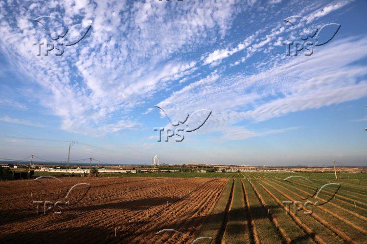 Fields of Beit Lahia in Gaza Strip