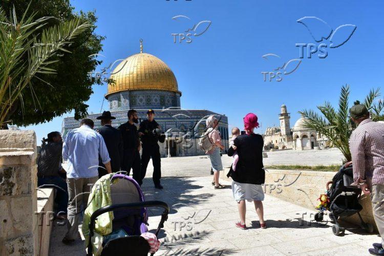 Jews ascending to the Temple Mount