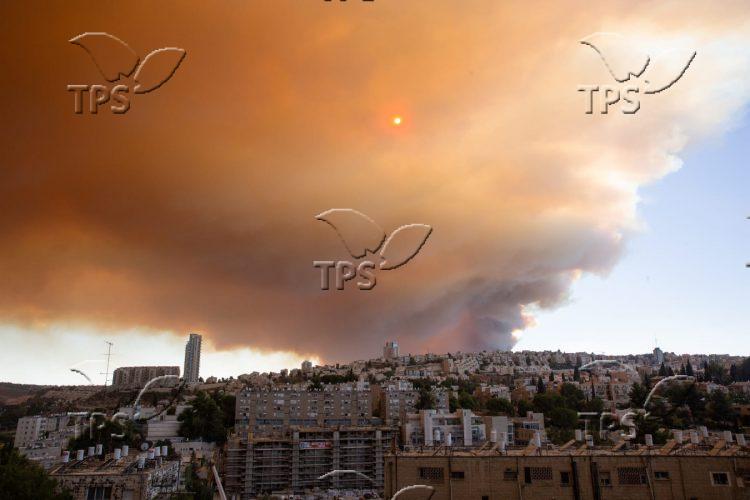 Jeruslame area forest fire Aug 15 2021