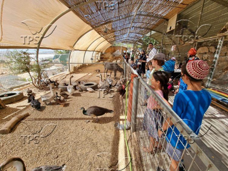 People Enjoying Sukkot holiday in Gush Etzion 2021