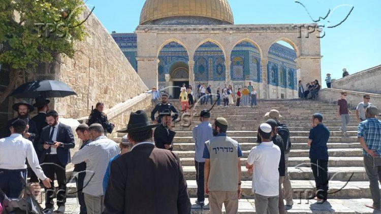 Jews ascend the Temple Mount on the Seventeenth of Tammuz