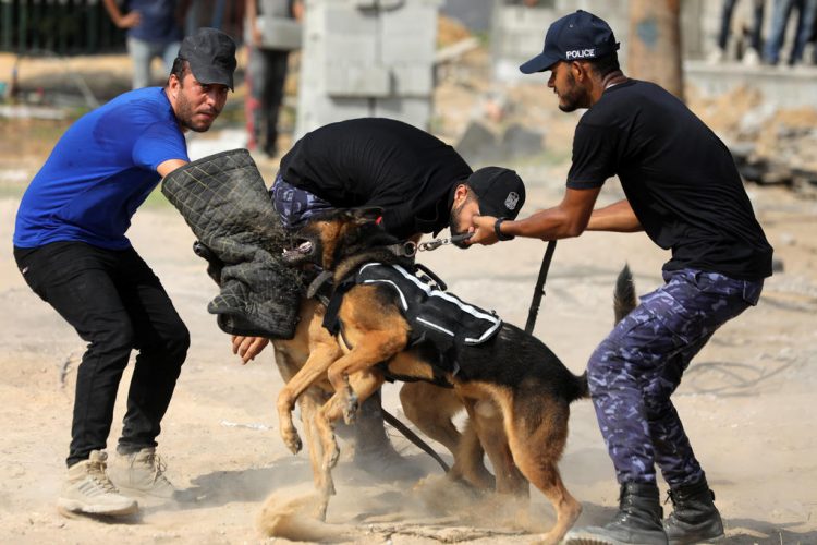 Police training with dogs in Gaza City