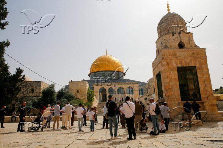 Jews ascend to the Temple Mount during the Passover holiday