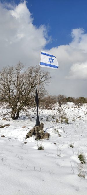 Snow In the Golan photo by tps