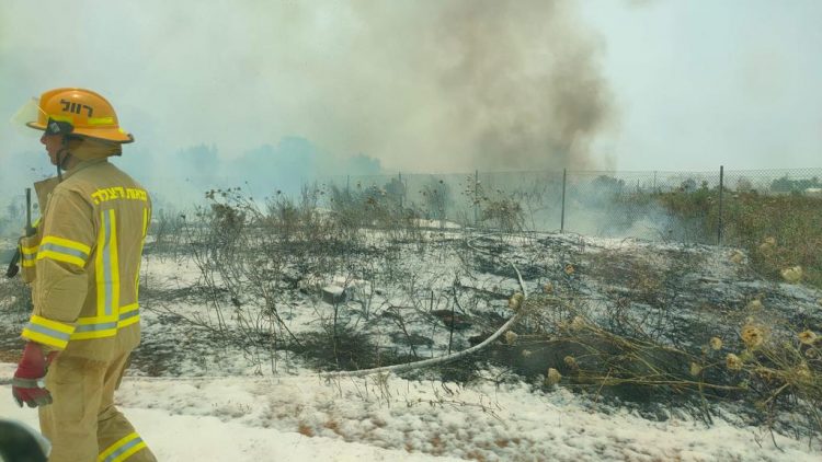 Forrest fire near Petah Tiqwa