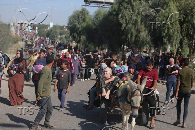 Palestinian evacuees