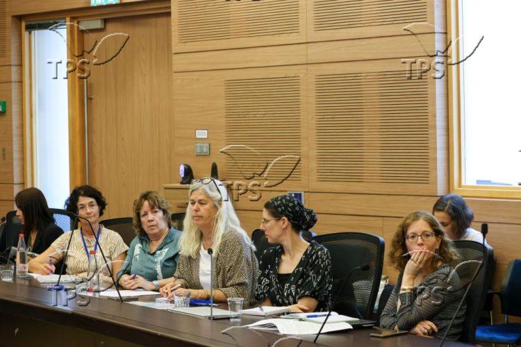 Knesset Welfare Committee