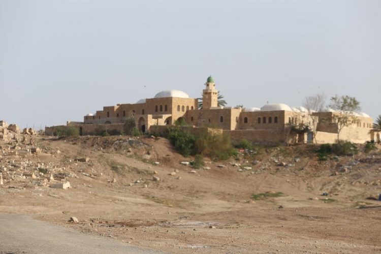 Nabi Musa in the Judean desert