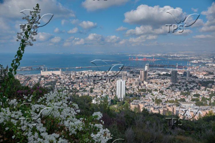 Haifa Bay